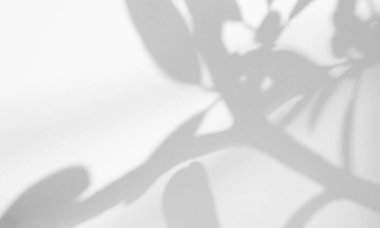 Gerçekçi ve organik yapraklar, ürün sunumu, arkaplan ve modelleme üzerine kaplama için, beyaz doku arka planı üzerinde doğal gölge etkisi bırakır