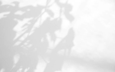 Gerçekçi ve organik yapraklar, ürün sunumu, arkaplan ve modelleme üzerine kaplama için, beyaz doku arka planı üzerinde doğal gölge etkisi bırakır