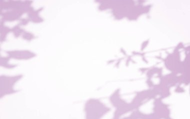 Organik, ürün sunumu, arkaplan ve maketi, soyut doğa gölge deseni üzerine örtülmesi için mor dokuya doğal gölge etkisi bırakır