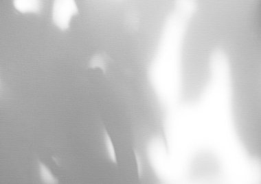 Gerçekçi ve organik yapraklar, ürün sunumu, arkaplan ve modelleme üzerine kaplama için, beyaz doku arka planı üzerinde doğal gölge etkisi bırakır