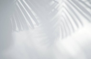 Gerçekçi ve organik tropikal yapraklar, ürün sunumu, arkaplan ve modelleme üzerine kaplama için, beyaz doku arka planı üzerinde doğal gölge etkisi bırakır 