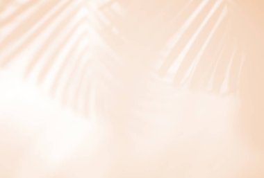 Gerçekçi ve organik tropikal yapraklar, ürün sunumu, arkaplan ve modelleme üzerine kaplama için, beyaz dokunun arka planı üzerinde doğal gölge etkisi yapar, en az yaz konsepti