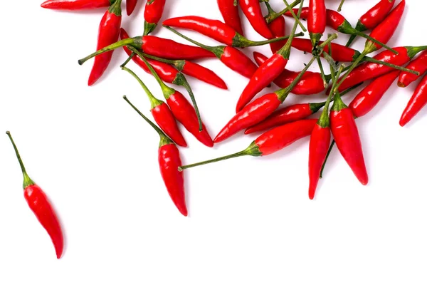 Small Chilli Pepper Close Isolated White Background Food Ingredients Fresh — Stock Photo, Image