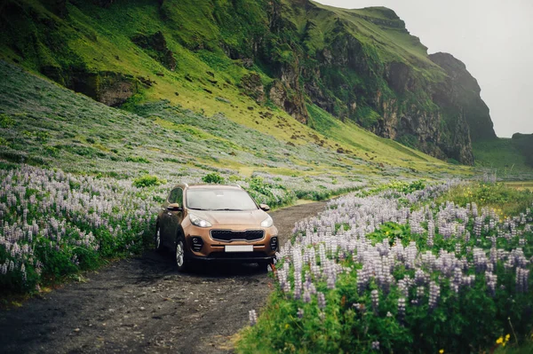 美丽的冰岛风景和汽车 — 图库照片