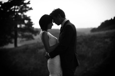 Düğün günü. Güzel gelin ve damat uçan duvak gölgesinde hoşlanıyoruz. Siyah ve beyaz.