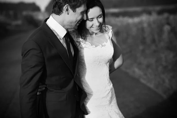 Dia Casamento Bela Noiva Noivo Desfrutar Uns Dos Outros Sombra — Fotografia de Stock