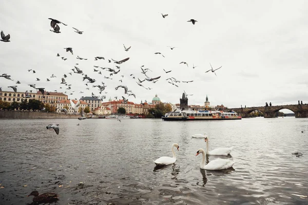 Prague Pont Charles République Tchèque — Photo