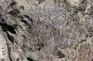 Taş dokusu veya arkaplan