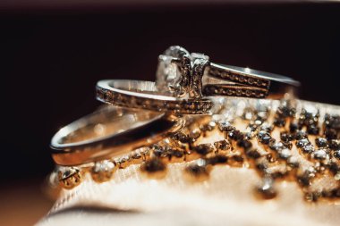 arka plan üzerinde şık alyans