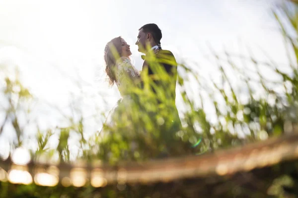 結婚式のカップル 山の中の美しい結婚式のカップル — ストック写真