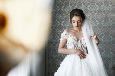 Sabah hazırlıklar. Güzel gelin portresi. Genç güzel gelin closeup portresi.