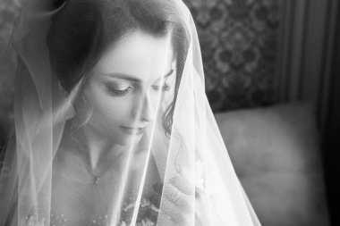 Portre genç muhteşem gelin portresi. Güzel gelin, sabah hazırlıklar portresi.