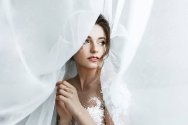 Portre genç muhteşem gelin portresi. Güzel gelin, sabah hazırlıklar portresi.