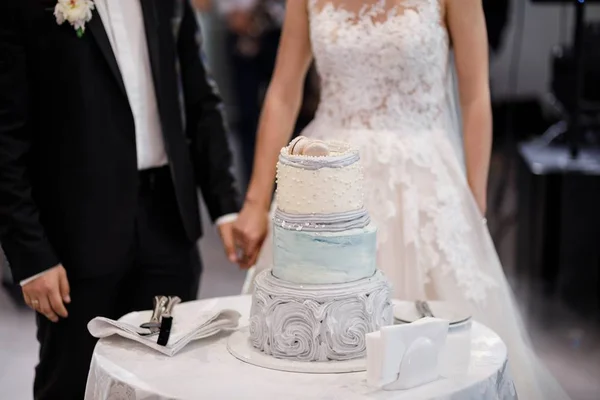 优雅漂亮的年轻新娘和新郎切婚礼蛋糕 — 图库照片
