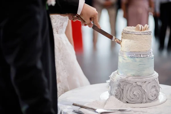 Élégant Jolie Jeune Mariée Marié Coupe Gâteau Mariage — Photo