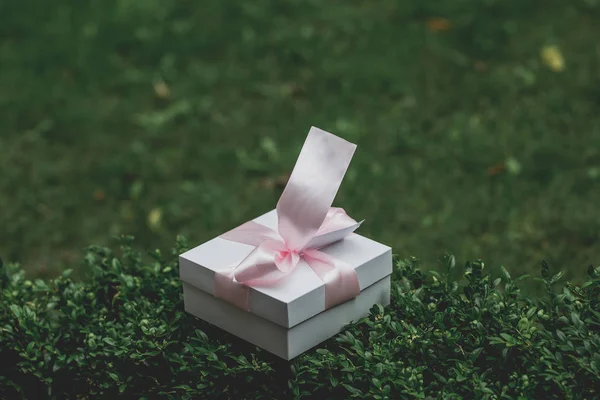 gift box on green grass