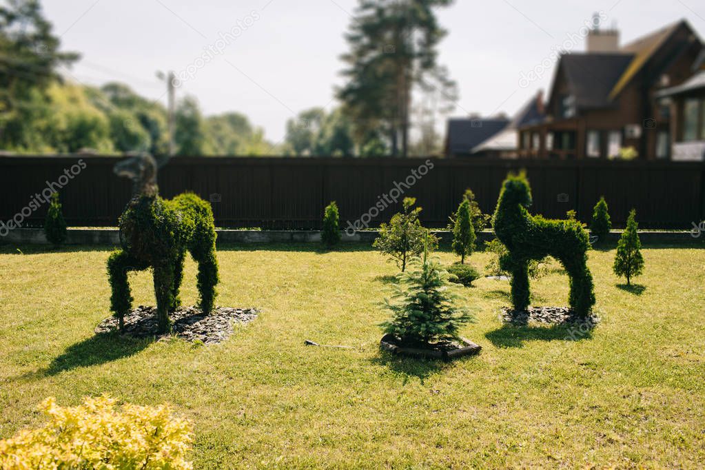 Beautiful funny bushes trimmed into animals shape in garden