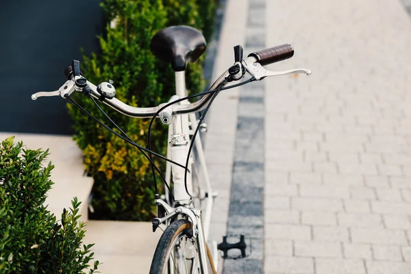 Guiador de bicicleta de perto, Bicicleta retro feminina no parque . — Fotografia de Stock