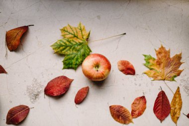 Düz yatıyordu kompozisyon izole sonbahar sonbahar beyaz arka plan üzerinde. 