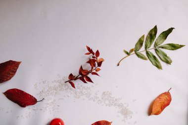 Düz yatıyordu kompozisyon izole sonbahar sonbahar beyaz arka plan üzerinde. 