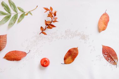 Düz yatıyordu kompozisyon izole sonbahar sonbahar beyaz arka plan üzerinde. 