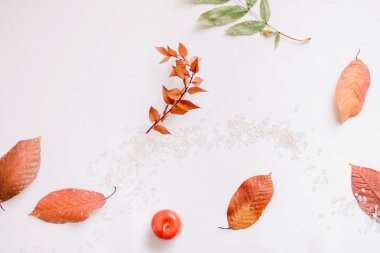 Düz yatıyordu kompozisyon izole sonbahar sonbahar beyaz arka plan üzerinde. 