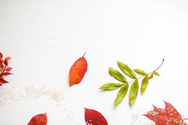 Düz yatıyordu kompozisyon izole sonbahar sonbahar beyaz arka plan üzerinde. 