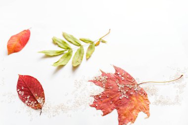 Düz yatıyordu kompozisyon izole sonbahar sonbahar beyaz arka plan üzerinde. 