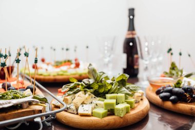 Kompozisyon peynir ve şarap. Lezzetli peynir masanın üzerinde. Peynir tablo türleri. Üstten görünüm. Kopya alanı.