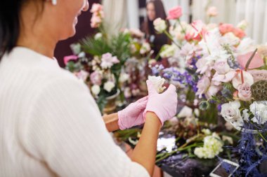 Çiçek kompozisyon. Çiçek arka plan. 