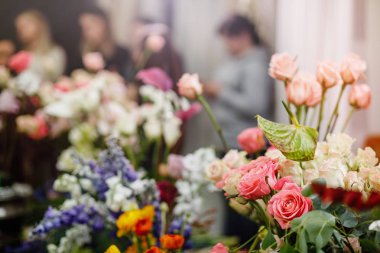 Çiçek kompozisyon. Çiçek arka plan. 