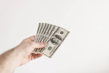 Erkek elinde Amerikan Doları para.