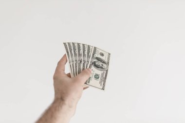 Erkek elinde Amerikan Doları para.