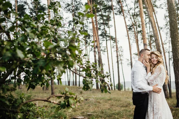 Happy Young Couple Love Having Good Time Embracing Park — Stock Photo, Image