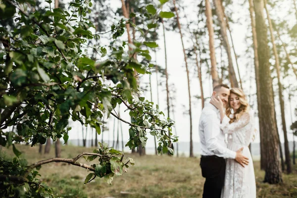 Hermosa Pareja Enamorada —  Fotos de Stock