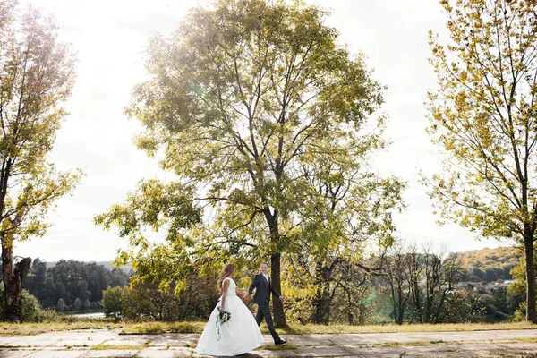 Brautpaar Hochzeitstag Hochzeitspaar Hübsche Braut Und Stilvoller Bräutigam — Stockfoto