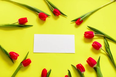 Renkli lale, güzel lale çiçek kompozisyon. Sevgililer günü ya da anneler günü. Uluslararası Kadınlar Günü 8 Mart.