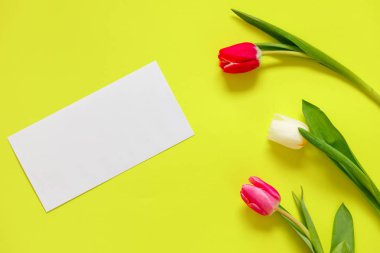 Renkli lale, güzel lale çiçek kompozisyon. Sevgililer günü ya da anneler günü. Uluslararası Kadınlar Günü 8 Mart.