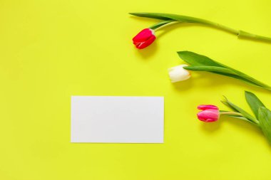 Renkli lale, güzel lale çiçek kompozisyon. Sevgililer günü ya da anneler günü. Uluslararası Kadınlar Günü 8 Mart.