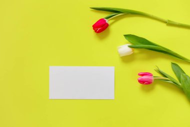 Renkli lale, güzel lale çiçek kompozisyon. Sevgililer günü ya da anneler günü. Uluslararası Kadınlar Günü 8 Mart.