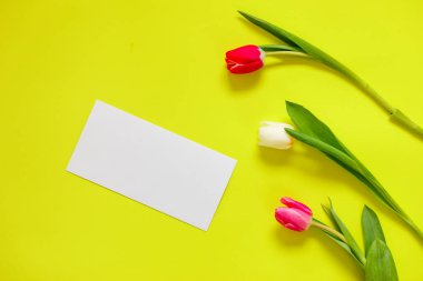 Renkli lale, güzel lale çiçek kompozisyon. Sevgililer günü ya da anneler günü. Uluslararası Kadınlar Günü 8 Mart.
