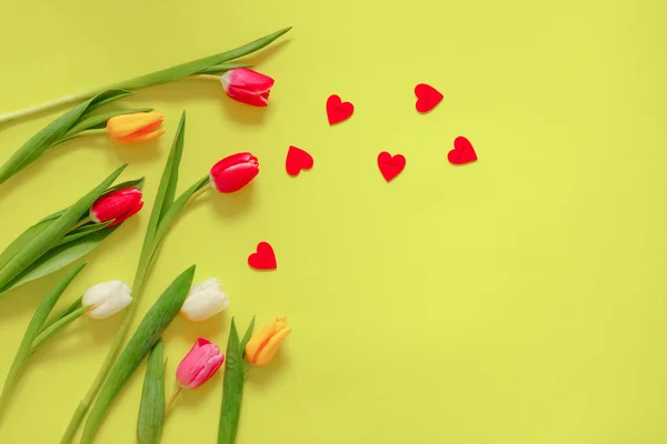 Tulipas Coloridas Adorável Composição Flores Tulipa Dia Dos Namorados Dia — Fotografia de Stock