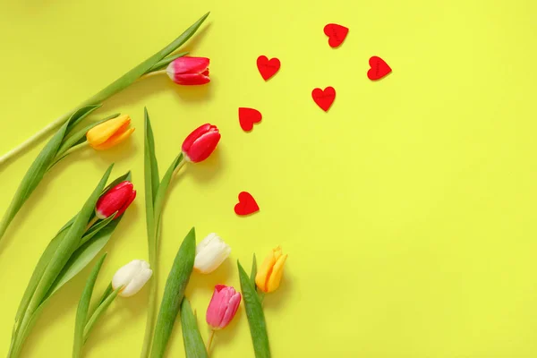 Tulipas Coloridas Adorável Composição Flores Tulipa Dia Dos Namorados Dia — Fotografia de Stock