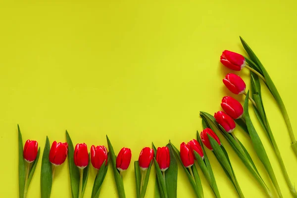 Colored Tulips Lovely Tulip Flowers Composition Valentines Day Mothers Day — Stock Photo, Image