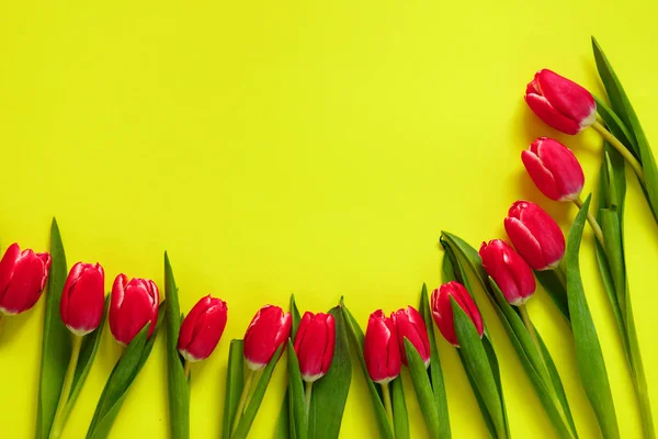 Χρωματιστά Τουλίπες Όμορφη Τουλίπα Λουλούδια Σύνθεση Ημέρα Του Αγίου Βαλεντίνου — Φωτογραφία Αρχείου