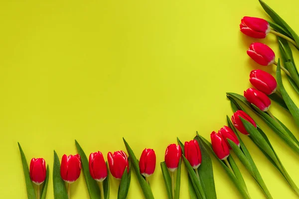 Colored Tulips Lovely Tulip Flowers Composition Valentines Day Mothers Day — Stock Photo, Image