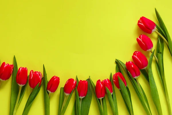 Colored Tulips Lovely Tulip Flowers Composition Valentines Day Mothers Day — Stock Photo, Image