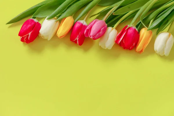 Colored Tulips Lovely Tulip Flowers Composition Valentines Day Mothers Day — Stock Photo, Image