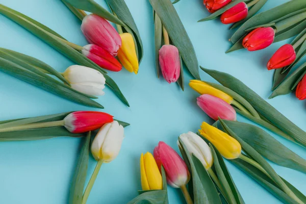 Postkarte Zum Frauentag Tulpenrahmen Auf Hintergrund Draufsicht — Stockfoto