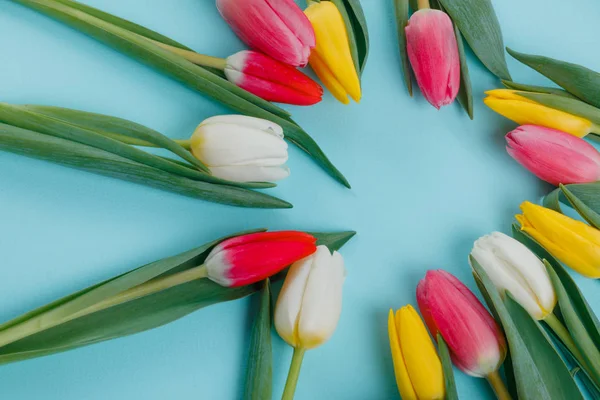 Vorlage Für Grußkarten Zum Frauentag Tulpenrahmen Auf Hintergrund Draufsicht Frauentag — Stockfoto